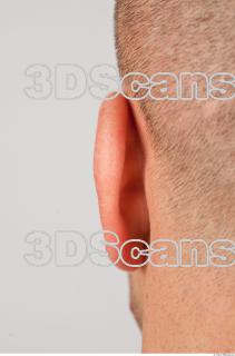 Ear texture of Dale 0001